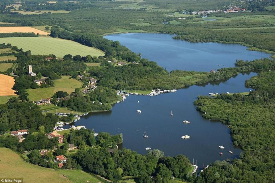 Cosy Pet Friendly Victorian Coachhouse Near Nature Walks On Norfolk Broads, With Fire Pit, Bbq & Alpacas Villa Ranworth Luaran gambar