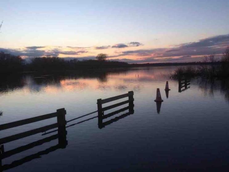 Cosy Pet Friendly Victorian Coachhouse Near Nature Walks On Norfolk Broads, With Fire Pit, Bbq & Alpacas Villa Ranworth Luaran gambar